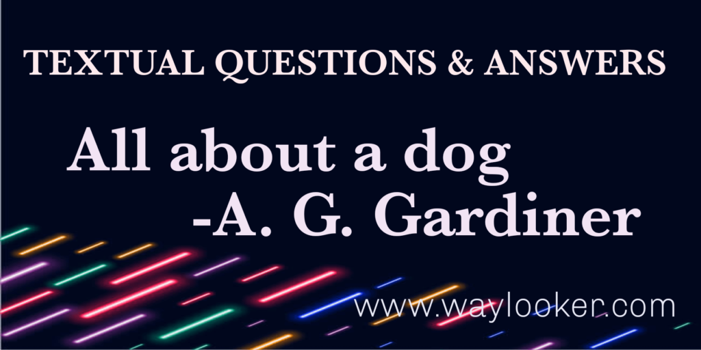 All about a dog textual question Answer