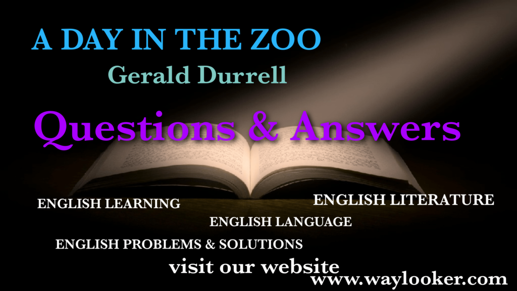 A Day in the Zoo textual question answer