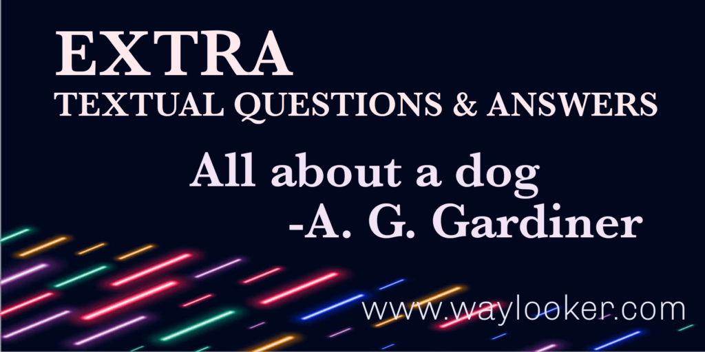 All about a dog extra question answer